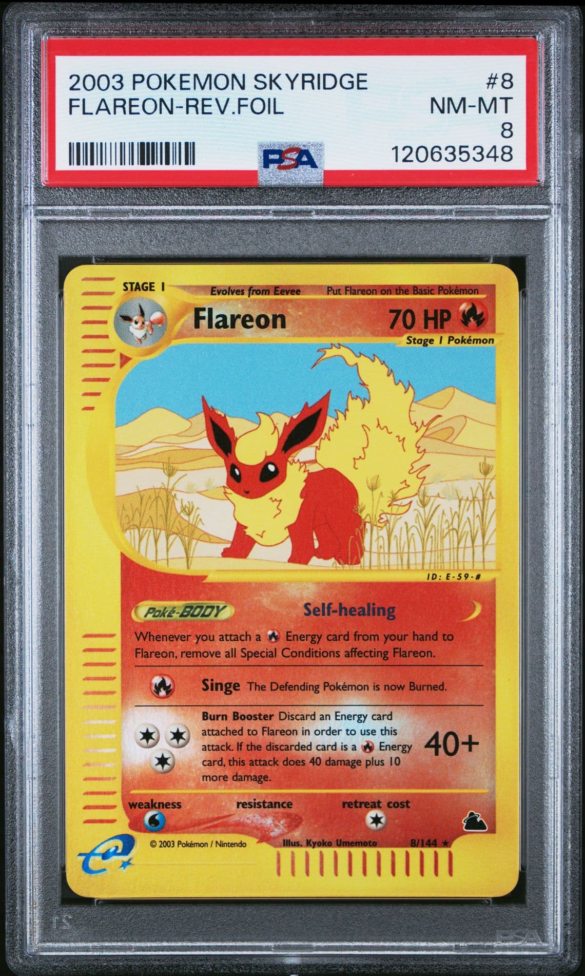 PSA 8 Pokémon Flareon 2003 Skyridge Reverse Holo Rare #8