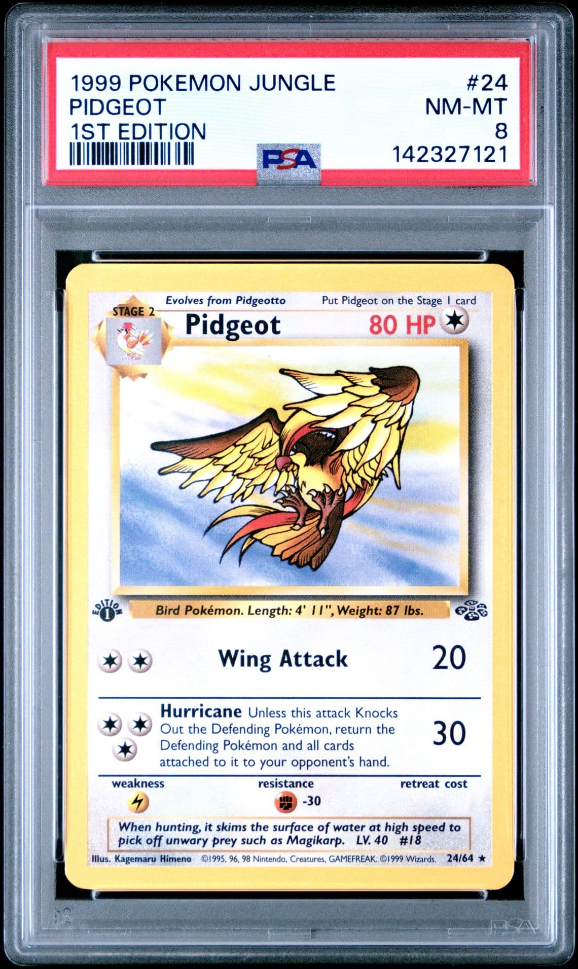Pokémon 1999 Jungle 1ST EDITION PIDGEOT 24/64 PSA 8 NM-MT RARE
