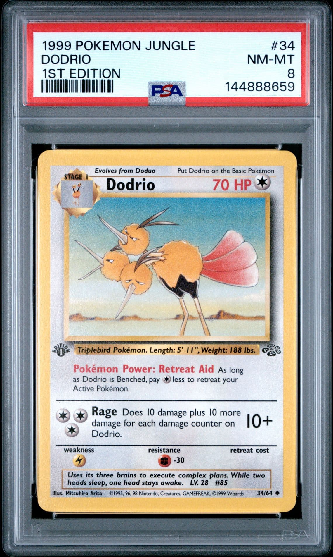 Pokémon 1999 Jungle 1ST EDITION DODRIO 34/64 PSA 8 NM-MT
