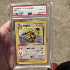 Pokémon TCG Jungle Pidgeot 24/64 Regular Non-Holo 1st Edition PSA 8