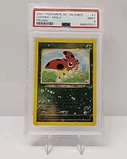 Ledyba