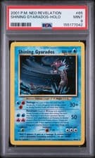 Shining Gyarados