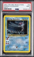 Shining Gyarados