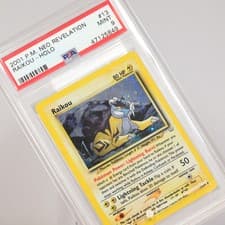 Raikou