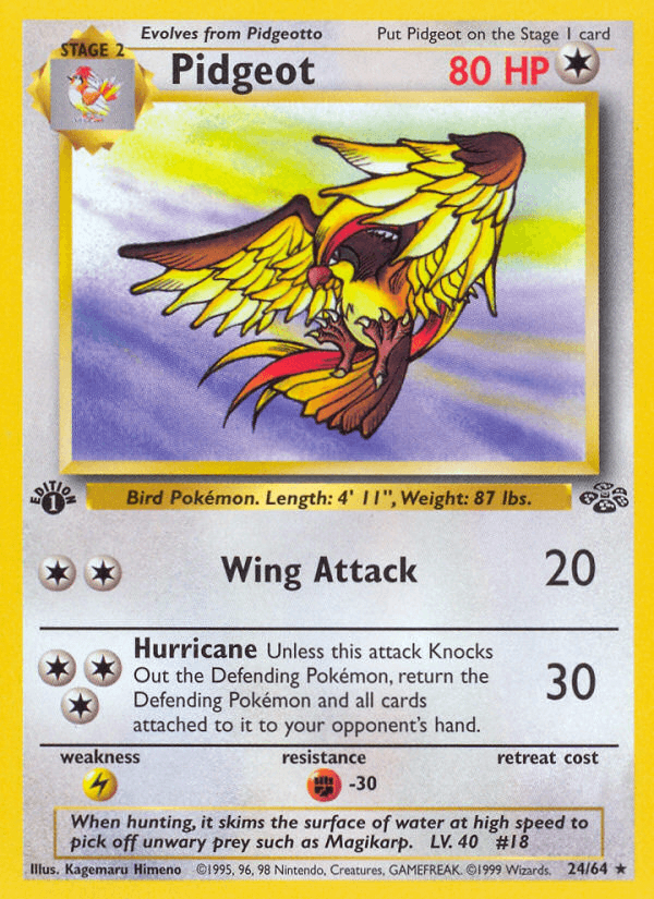 Pidgeot — Jungle 24/64