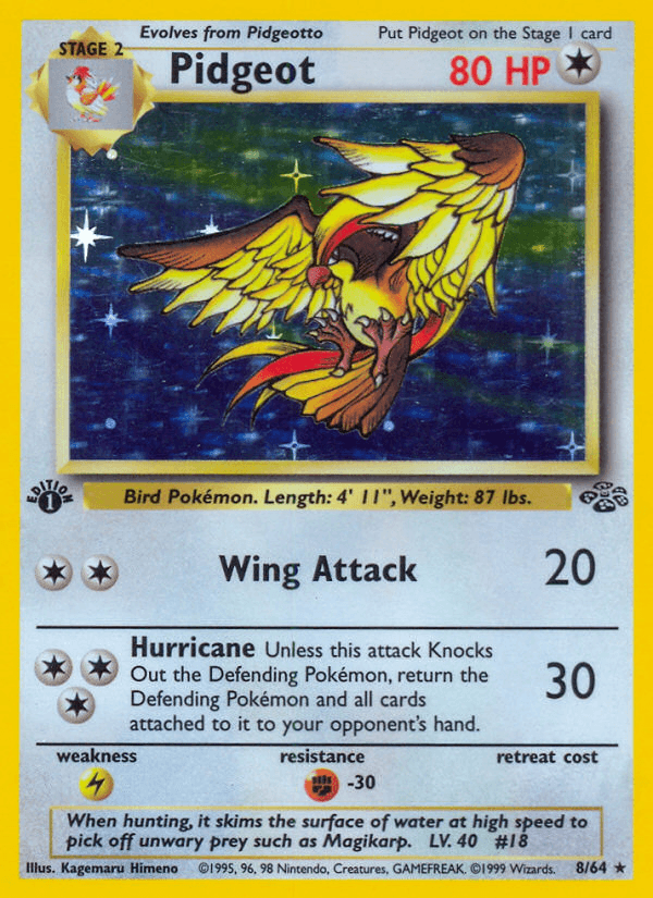 Pidgeot artwork — Jungle 8/64