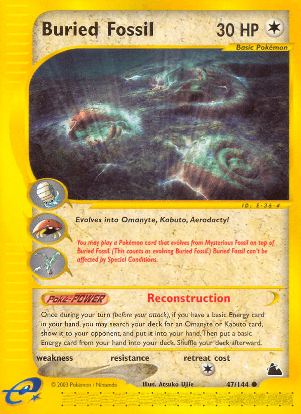 Buried Fossil — Skyridge 47/182
