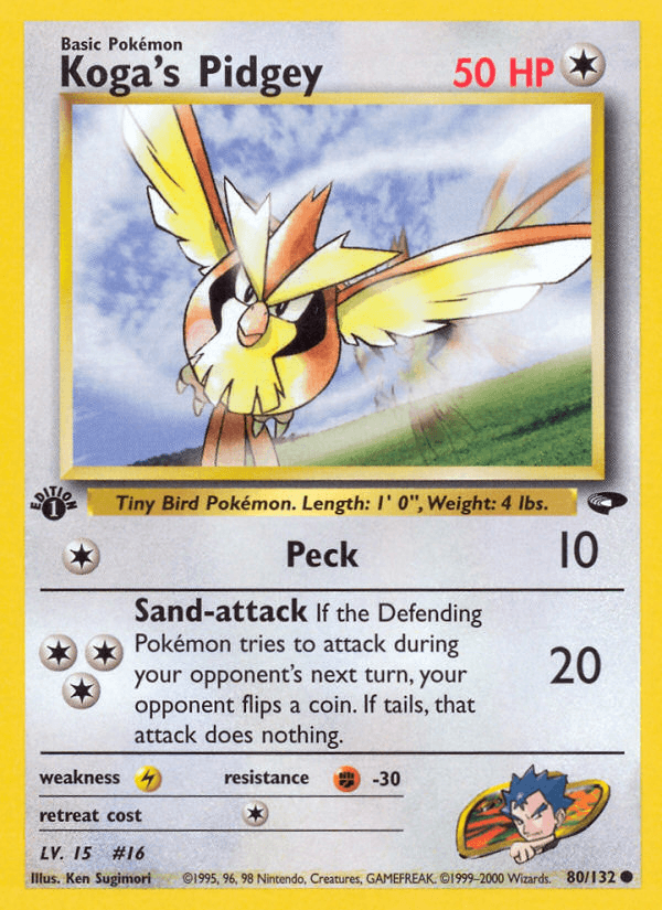 Koga's Pidgey artwork — Gym Challenge 80/132